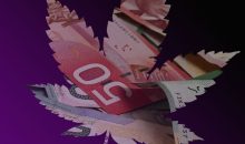weed-cdn-money